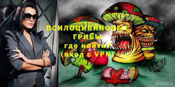 spice Арсеньев