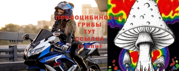 винт Армянск