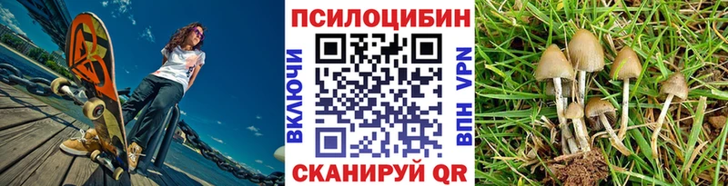 Псилоцибиновые грибы Cubensis  KRAKEN tor  Купино 